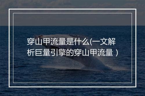 穿山甲流量是什么(一文解析巨量引擎的穿山甲流量）
