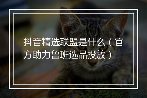 抖音精选联盟是什么（官方助力鲁班选品投放）