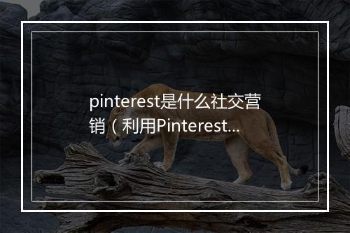 pinterest是什么社交营销（利用Pinterest进行营销促进业务）