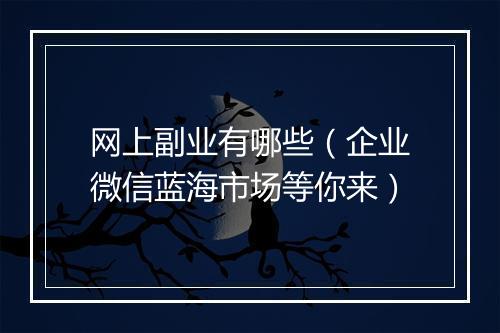 网上副业有哪些（企业微信蓝海市场等你来）