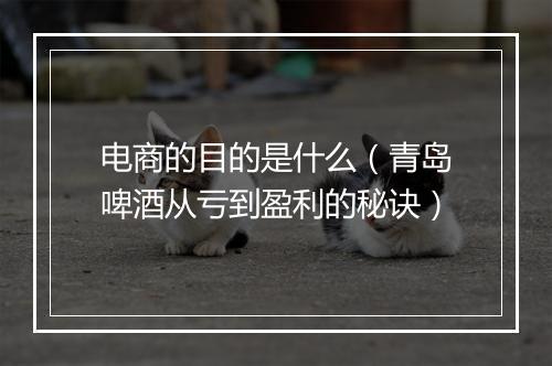 电商的目的是什么（青岛啤酒从亏到盈利的秘诀）