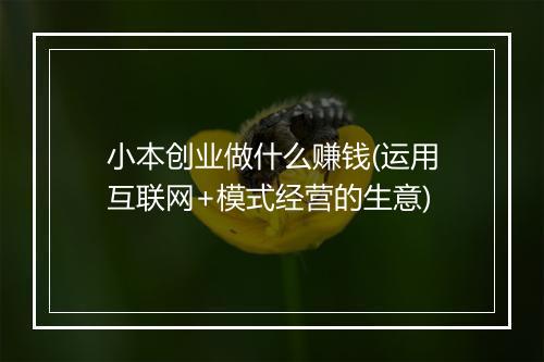 小本创业做什么赚钱(运用互联网+模式经营的生意)