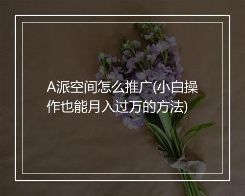 A派空间怎么推广(小白操作也能月入过万的方法)