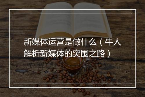 新媒体运营是做什么（牛人解析新媒体的突围之路）