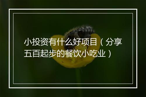 小投资有什么好项目（分享五百起步的餐饮小吃业）