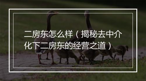 二房东怎么样（揭秘去中介化下二房东的经营之道）