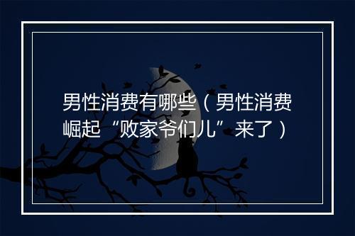 男性消费有哪些（男性消费崛起“败家爷们儿”来了）