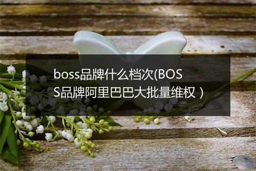 boss品牌什么档次(BOSS品牌阿里巴巴大批量维权）