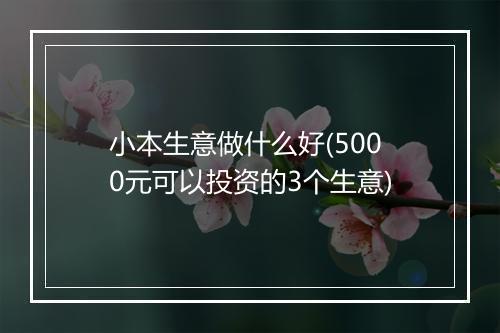 小本生意做什么好(5000元可以投资的3个生意)