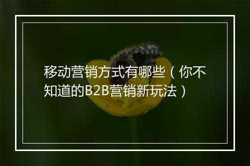 移动营销方式有哪些（你不知道的B2B营销新玩法）