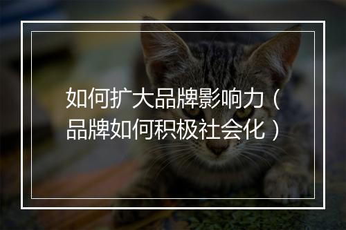 如何扩大品牌影响力（品牌如何积极社会化）