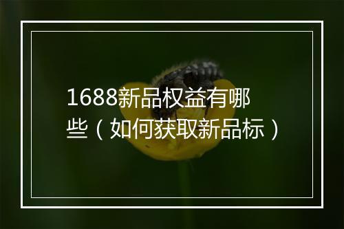 1688新品权益有哪些（如何获取新品标）