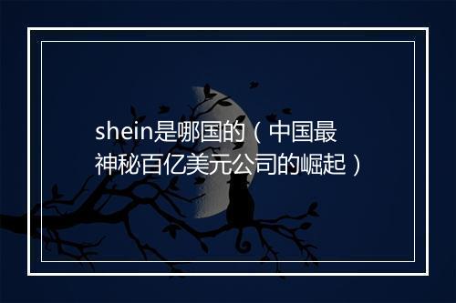 shein是哪国的（中国最神秘百亿美元公司的崛起）