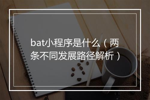 bat小程序是什么（两条不同发展路径解析）