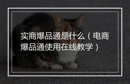 实商爆品通是什么（电商爆品通使用在线教学）