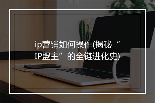ip营销如何操作(揭秘“IP盟主”的全链进化史)