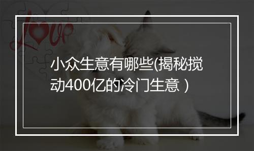 小众生意有哪些(揭秘搅动400亿的冷门生意）