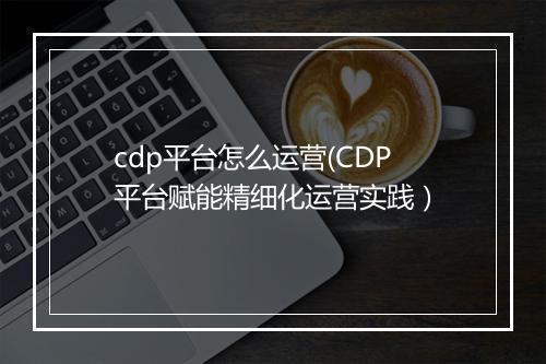 cdp平台怎么运营(CDP平台赋能精细化运营实践）