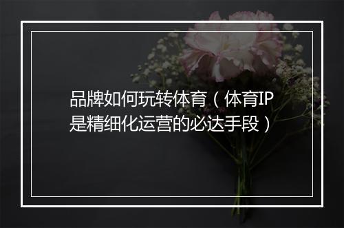 品牌如何玩转体育（体育IP是精细化运营的必达手段）