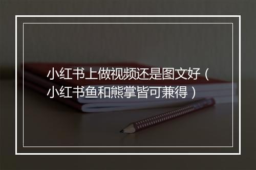 小红书上做视频还是图文好（小红书鱼和熊掌皆可兼得）