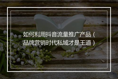 如何利用抖音流量推广产品（品牌营销时代私域才是王道）