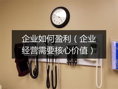 企业如何盈利（企业经营需要核心价值）