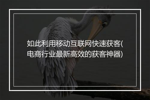 如此利用移动互联网快速获客(电商行业最新高效的获客神器)