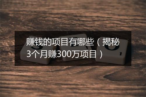 赚钱的项目有哪些（揭秘3个月赚300万项目）