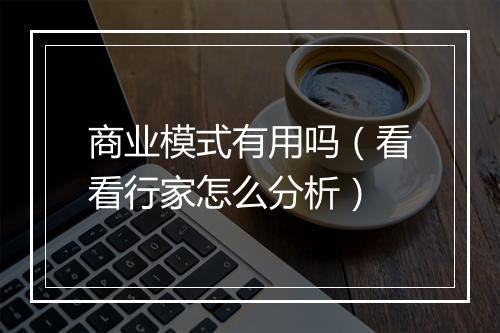 商业模式有用吗（看看行家怎么分析）