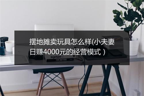 摆地摊卖玩具怎么样(小夫妻日赚4000元的经营模式）