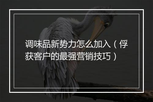 调味品新势力怎么加入（俘获客户的最强营销技巧）