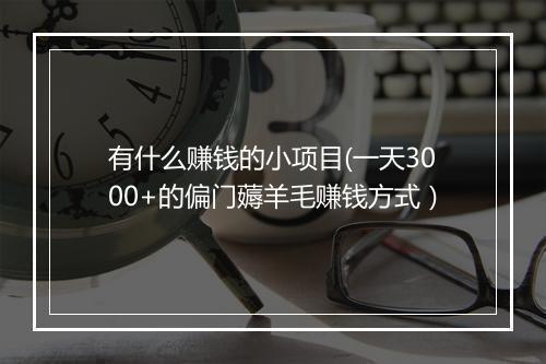 有什么赚钱的小项目(一天3000+的偏门薅羊毛赚钱方式）