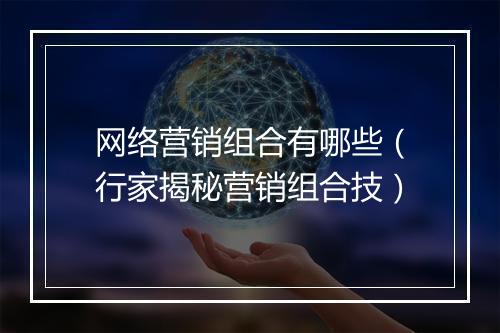 网络营销组合有哪些（行家揭秘营销组合技）