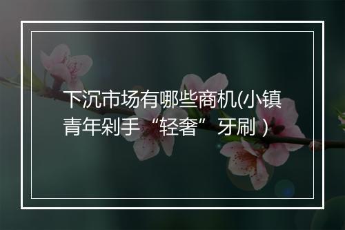 下沉市场有哪些商机(小镇青年剁手“轻奢”牙刷）