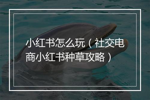 小红书怎么玩（社交电商小红书种草攻略）