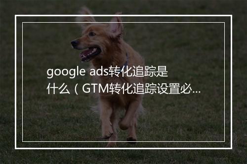 google ads转化追踪是什么（GTM转化追踪设置必读）