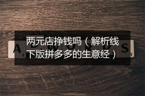 两元店挣钱吗（解析线下版拼多多的生意经）