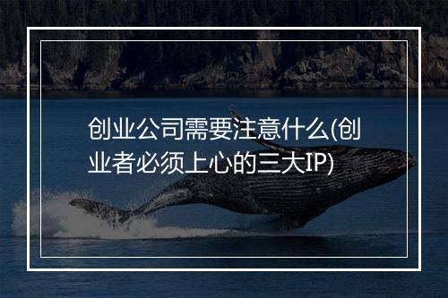 创业公司需要注意什么(创业者必须上心的三大IP)