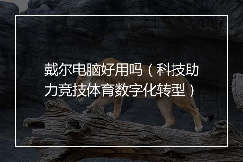 戴尔电脑好用吗（科技助力竞技体育数字化转型）