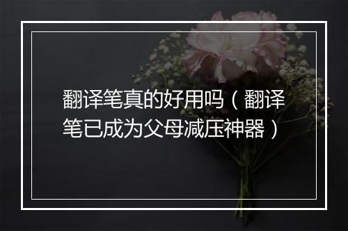 翻译笔真的好用吗（翻译笔已成为父母减压神器）