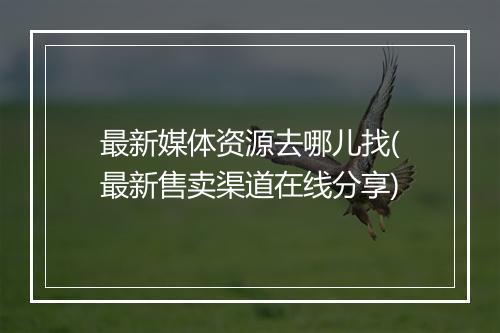 最新媒体资源去哪儿找(最新售卖渠道在线分享)