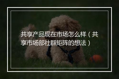 共享产品现在市场怎么样（共享市场部社群矩阵的想法）