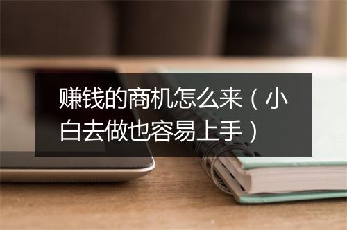 赚钱的商机怎么来（小白去做也容易上手）