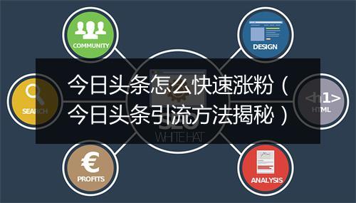 今日头条怎么快速涨粉（今日头条引流方法揭秘）
