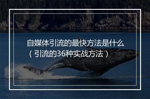 自媒体引流的最快方法是什么（引流的36种实战方法）