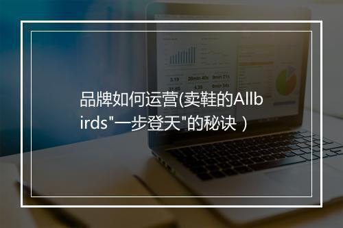 品牌如何运营(卖鞋的Allbirds