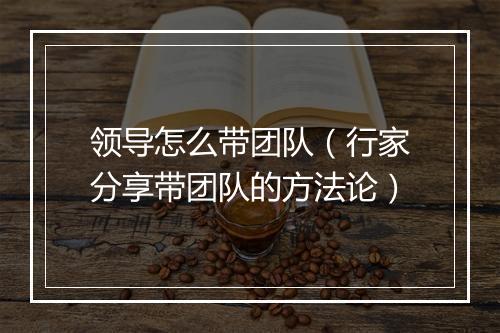 领导怎么带团队（行家分享带团队的方法论）