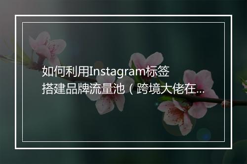 如何利用Instagram标签搭建品牌流量池（跨境大佬在线教学）