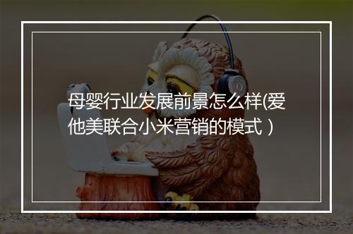 母婴行业发展前景怎么样(爱他美联合小米营销的模式）