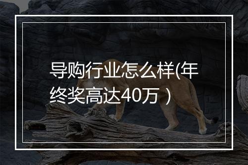 导购行业怎么样(年终奖高达40万）